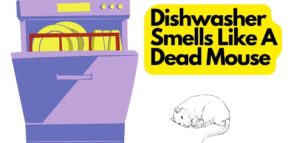 Dishwasher Smells Like A Dead Mouse