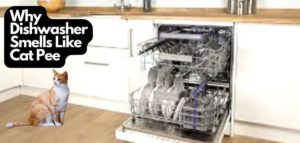 Dishwasher Smells Like Cat Pee