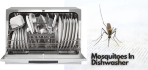 Mosquitoes In Dishwasher