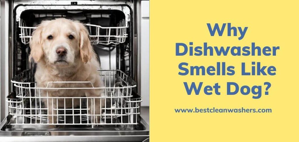 Dishwasher Smells Like Wet Dog