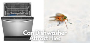 Can Dishwasher Attract Flies